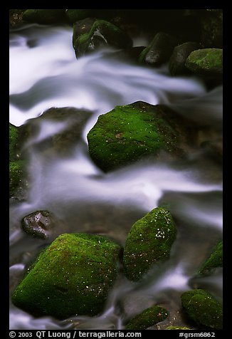 Mossy boulders and silky water, Roaring Fork River, Tennessee. Great Smoky Mountains National Park, USA.