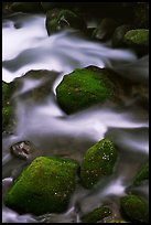 Mossy boulders and silky water, Roaring Fork River, Tennessee. Great Smoky Mountains National Park, USA.