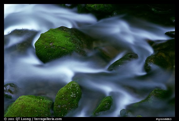 River flow and boulders covered with moss, Tennessee. Great Smoky Mountains National Park, USA.
