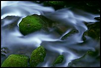 River flow and boulders covered with moss, Tennessee. Great Smoky Mountains National Park, USA.