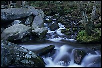 Roaring Fork River Cascades and boulders, Tennessee. Great Smoky Mountains National Park, USA.