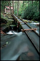 Flume to Reagan's Mill from Roaring Fork River, Tennessee. Great Smoky Mountains National Park, USA.