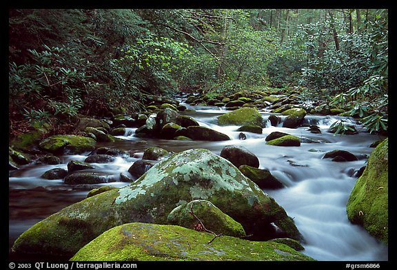 River cascading along mossy boulders, Roaring Fork, Tennessee. Great Smoky Mountains National Park, USA.