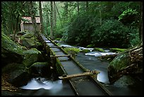 Flume carrying water to Reagan's mill next to Roaring Fork River, Tennessee. Great Smoky Mountains National Park, USA. (color)