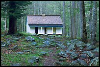 Alfred Reagan saddlebag house, Tennessee. Great Smoky Mountains National Park, USA. (color)