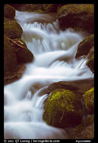River Cascading, Roaring Fork, Tennessee. Great Smoky Mountains National Park (color)
