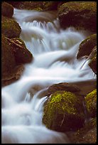 River Cascading, Roaring Fork, Tennessee. Great Smoky Mountains National Park, USA. (color)