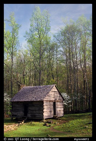 Historic log Cabin, Roaring Fork, Tennessee. Great Smoky Mountains National Park, USA.
