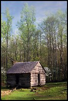 Historic log Cabin, Roaring Fork, Tennessee. Great Smoky Mountains National Park, USA. (color)