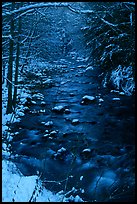 Creek and snowy trees in winter, Tennessee. Great Smoky Mountains National Park, USA.