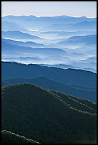 Hazy Ridges seen from Clingmans Dome, North Carolina. Great Smoky Mountains National Park ( color)