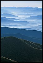 Hazy Ridges seen from Clingmans Dome, North Carolina. Great Smoky Mountains National Park, USA.