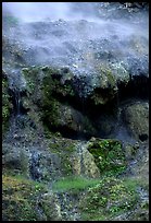 Thermal springs flowing over tufa terrace. Hot Springs National Park ( color)