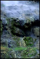 Thermal springs flowing over tufa terrace. Hot Springs National Park, Arkansas, USA.