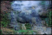 Thermal spring water flowing over tufa terrace. Hot Springs National Park, Arkansas, USA.