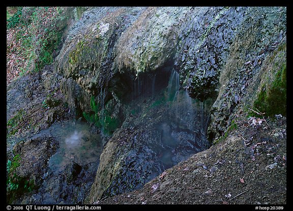 Cascade over tufa terrace. Hot Springs National Park (color)