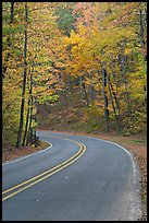 Road curve and fall colors on West Mountain. Hot Springs National Park, Arkansas, USA.