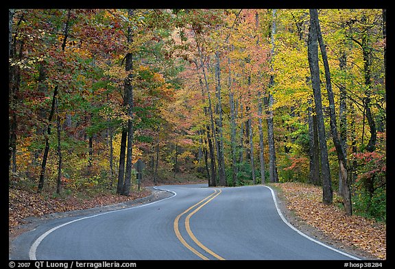 Windy road and fall colors on West Mountain. Hot Springs National Park, Arkansas, USA.