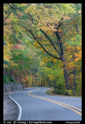 Rood curve, fall colors, West Mountain. Hot Springs National Park, Arkansas, USA.