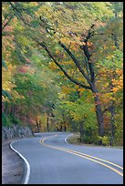 Rood curve, fall colors, West Mountain. Hot Springs National Park, Arkansas, USA.