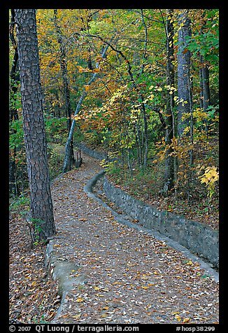 Built trail and fall colors, Hot Spring Mountain. Hot Springs National Park, Arkansas, USA.