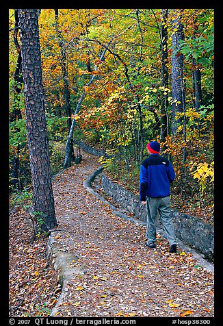 Hiker on trail amongst fall colors, Hot Spring Mountain. Hot Springs National Park, Arkansas, USA.