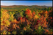 Vista with trees in fall colors, North Mountain, early morning. Hot Springs National Park ( color)