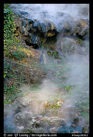 Steam rising from hot water cascade. Hot Springs National Park, Arkansas, USA.