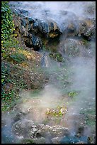 Steam rising from hot water cascade. Hot Springs National Park, Arkansas, USA.