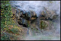 Steam and tufa terrace. Hot Springs National Park, Arkansas, USA.