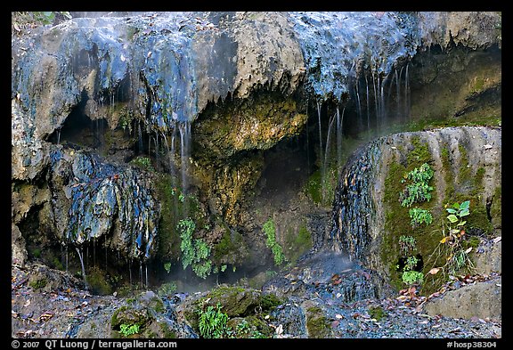 Hot water flowing over tufa terrace. Hot Springs National Park (color)