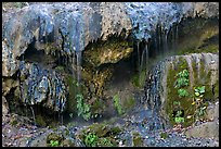 Hot water flowing over tufa terrace. Hot Springs National Park, Arkansas, USA. (color)
