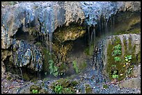 Hot water flowing over tufa terrace. Hot Springs National Park, Arkansas, USA.