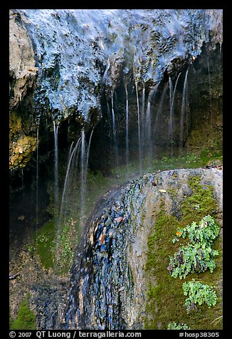 Hot springs water flowing over tufa terrace. Hot Springs National Park, Arkansas, USA.