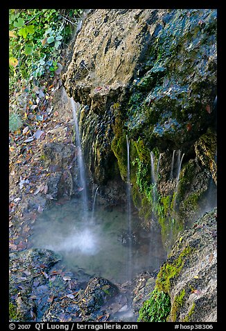 Water from hot springs flowing over tufa rock. Hot Springs National Park, Arkansas, USA.