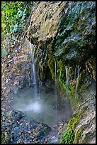 Water from hot springs flowing over tufa rock. Hot Springs National Park, Arkansas, USA.