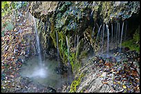 Hot water from springs flowing over tufa rock. Hot Springs National Park ( color)