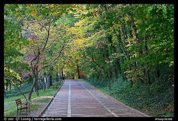 Grand Promenade in the fall. Hot Springs National Park, Arkansas, USA.