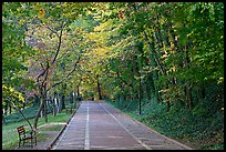 Grand Promenade in autunm. Hot Springs National Park ( color)