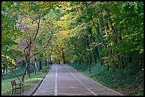 Grand Promenade in the fall. Hot Springs National Park ( color)