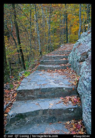 Stone steps on trail in forest with fall foliage, Gulpha Gorge. Hot Springs National Park (color)