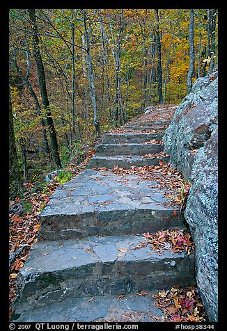 Stone steps on trail in forest with fall foliage, Gulpha Gorge. Hot Springs National Park, Arkansas, USA.