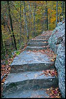 Stone steps on trail in forest with fall foliage, Gulpha Gorge. Hot Springs National Park, Arkansas, USA.