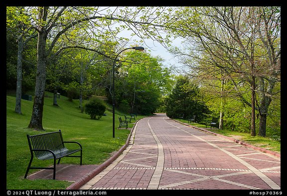 Grand Promenade in the spring. Hot Springs National Park (color)