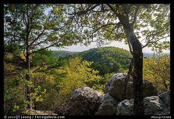 Sugarloaf Mountain in the spring. Hot Springs National Park (color)