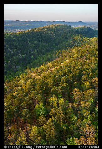 Forest in spring and North Mountain from Hot Springs Mountain Tower. Hot Springs National Park, Arkansas, USA.