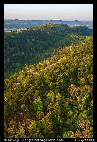 Forest in spring and North Mountain from Hot Springs Mountain Tower. Hot Springs National Park (color)