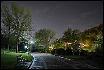 Grand Promenade and West Mountain at night. Hot Springs National Park ( color)