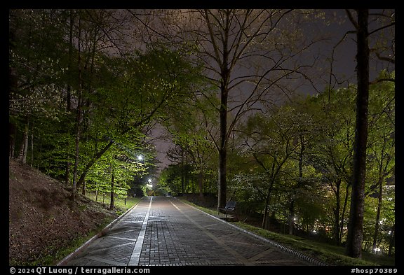 Grand Promenade at night in springtime. Hot Springs National Park, Arkansas, USA.