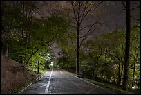 Grand Promenade at night in springtime. Hot Springs National Park ( color)